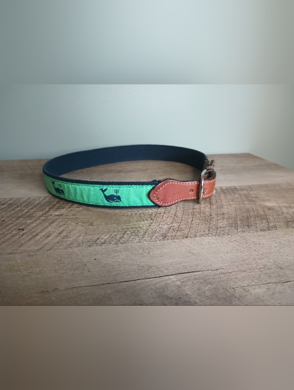 Womens Whimsical Whale Ribbon Belt XS/S Green Buckle Preppy Quirky